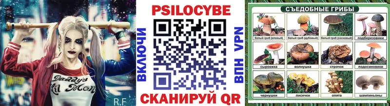 гидра рабочий сайт  Ярцево  Псилоцибиновые грибы Cubensis 